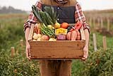 Harvest Sunday